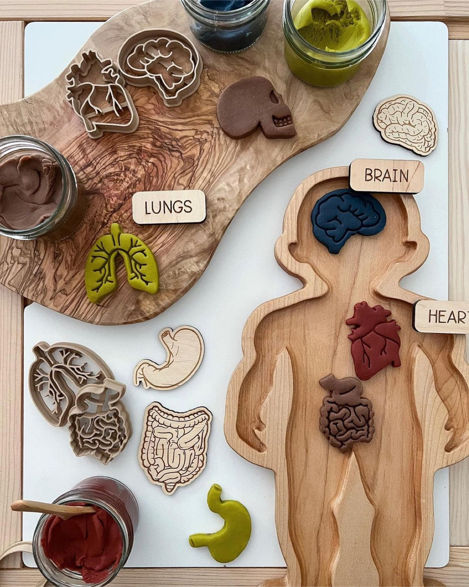 Human Body Wooden Sensory Tray Naturebasedtoys 3196