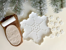 Load image into Gallery viewer, NEW Snowflake Bio Sensory Play Tray and accessories
