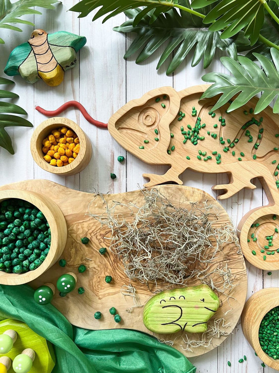 Chameleon Wooden Sensory Tray – NatureBasedToys